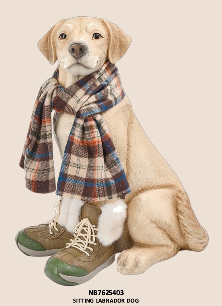 Sitting Labrador Dog with Scarf & Boots 16