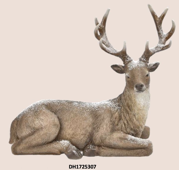 Lying Deer 16