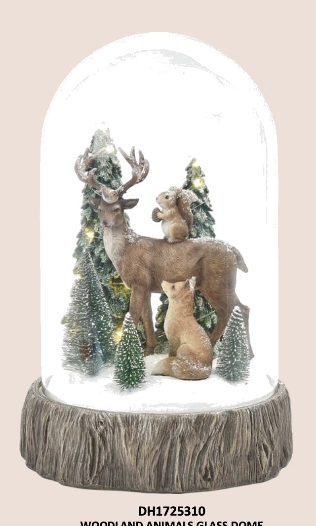 Woodland Animals Glass Dome With LED Light 8