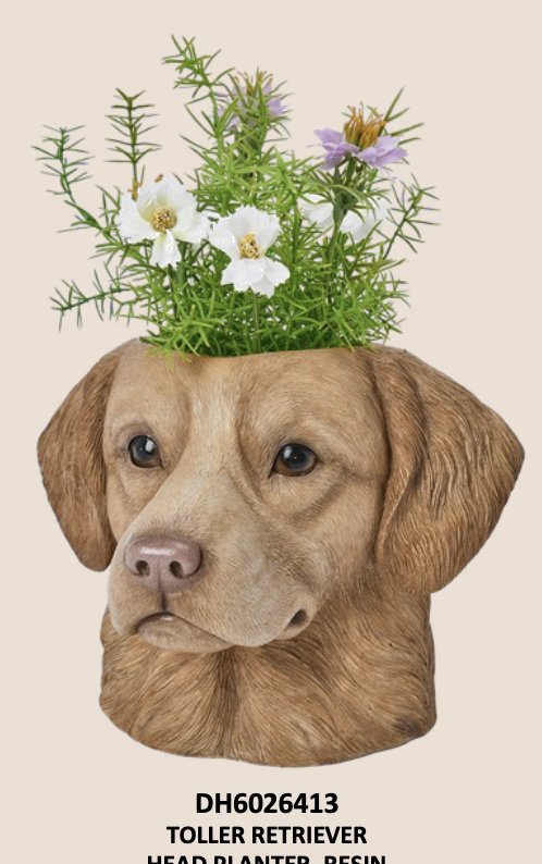 Toller Retriever Head Planter