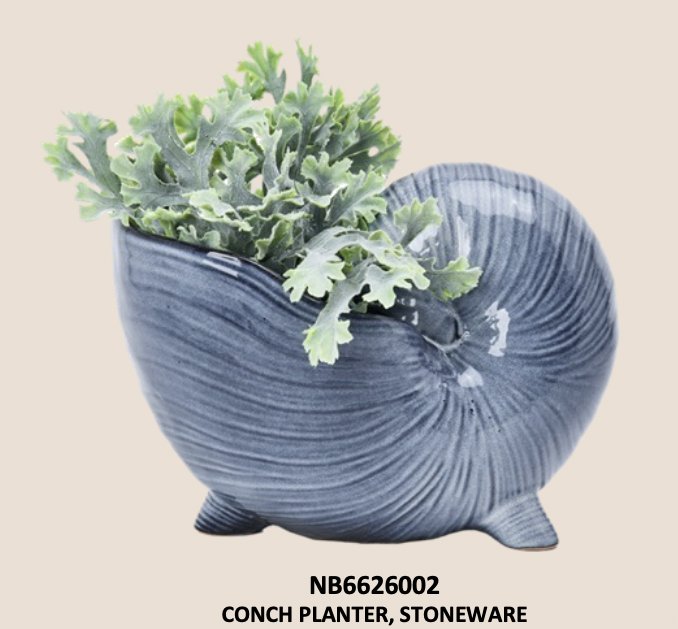 Conch Planter